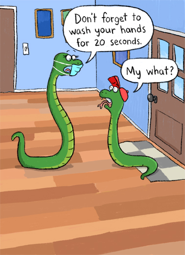 Wash Hands Snakes Birthday Card Cover