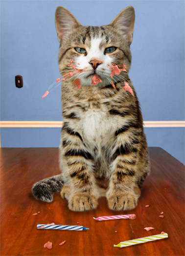 What Cake  Ecard Cover