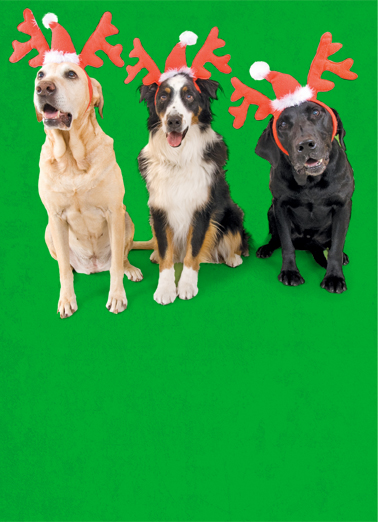 Woof - Funny Christmas Card to personalize and send.