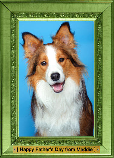 Woofs FD  Ecard Cover