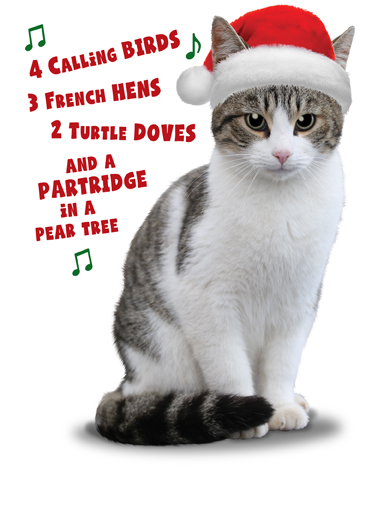 Xmas Dinner Cat - Funny Christmas Card to personalize and send.
